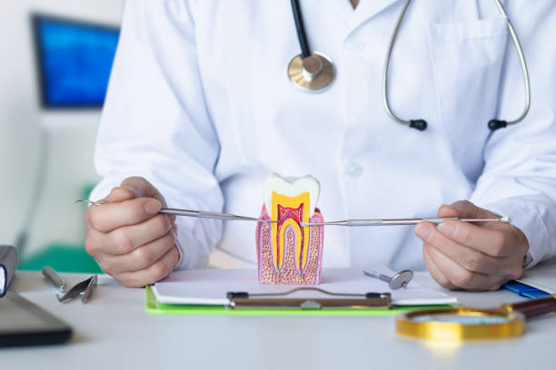 Best Emergency Dental Care for Broken or Chipped Teeth in Larch Y, WA